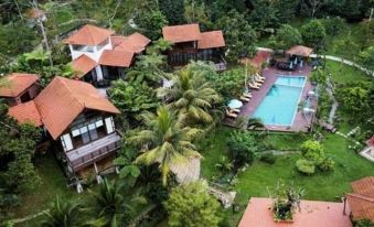 The aerial view showcases a house and pool situated in a tropical location, surrounded by a spacious terraced garden at Fifty4Ferns