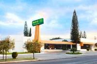 Hotel Paradise Inn - 3-Star