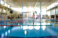 Ace Hotel and Suites - Pool