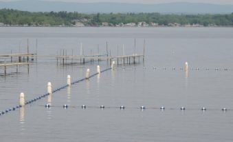 The Nest on Saratoga Lake