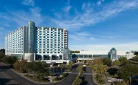 Sheraton Myrtle Beach Các khách sạn gần Myrtle Manor