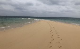 2. 신 강 징-야 ..