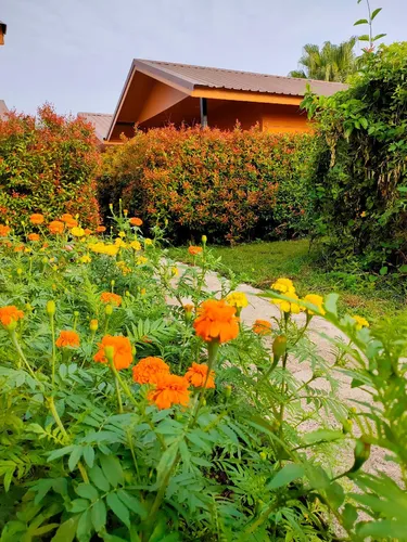 รูปภาพของจิตดีโฮม