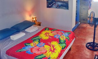 Hostel la Ballena Backpacker