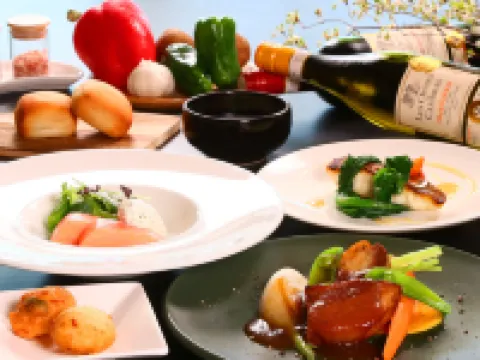 スカイペンションどうだん 島田のホテル