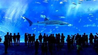 ホテル周辺 オキナワグランメールリゾートの写真