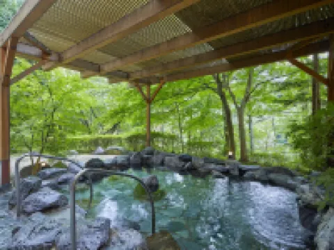 Hotel Harvest Kinugawa