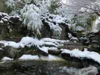 Guest House SAKURA - Vacation STAY 57751v Hotels in Sakura