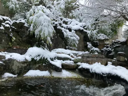 Guest House Sakura - Vacation Stay 57751V Отели в г. Сакура