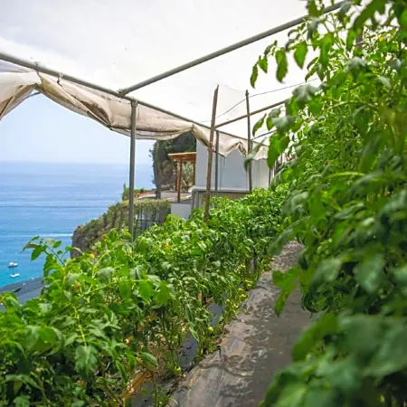 Hotel la Pergola