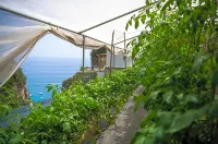 Hotel la Pergola