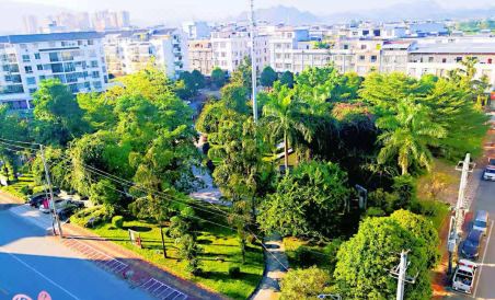 Golden Vision Inn - Housity