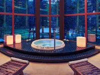 Mercure Iguazu Hotel Iru - Hot Tub