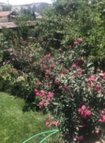 家庭洞穴套房酒店 鄰近Airport Transfer Company的酒店