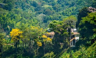 Alojamiento Rural Fogon de Palo