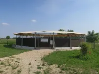 Domus Magna