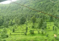 Sadguru Krupa Lodging Farm House Hotels in Nadgaon Tarf Birwadi