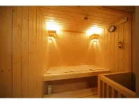Hagi Royal Intelligent Hotel - spa