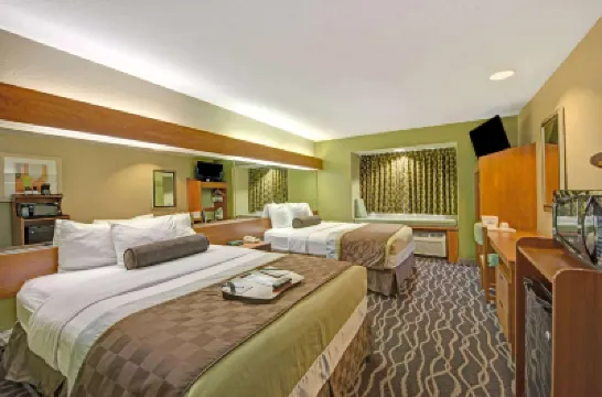 Super 8 by Wyndham San Antonio Downtown NE Hotels near Splashtown San Antonio