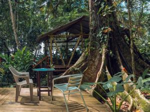 Faith Glamping Dome Costa Rica