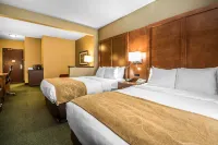 Comfort Suites Madison West فنادق في Middleton