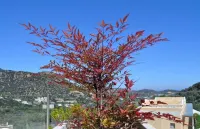 Filion Suites Resort & Spa - Meerblick
