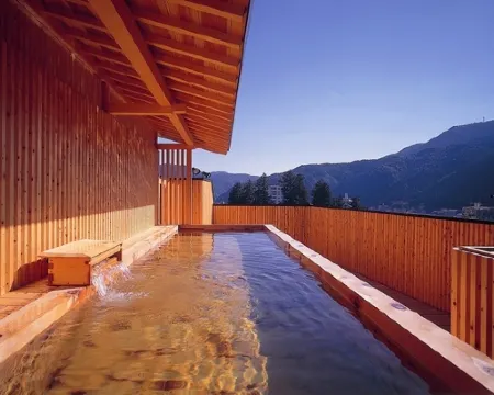 下呂温泉 下呂ロイヤルホテル雅亭 下呂のホテル