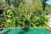 ホエールカム アオナン リゾート