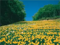 大沼旅館