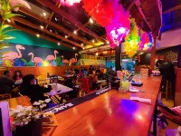 Lobo Hostel la Paz Hotels in La Paz