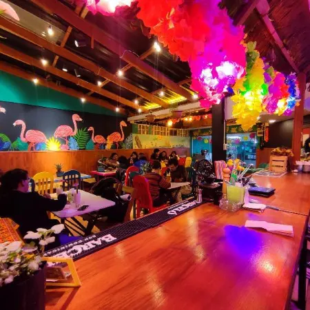 Lobo Hostel la Paz