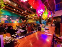 Lobo Hostel la Paz