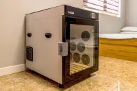 Chuncheon Dog pension Walk the Flower Path