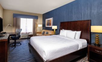 Hilton Garden Inn Fort Worth Alliance Airport