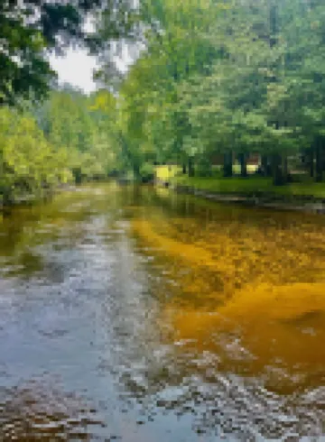 Beautiful Cabin located on the Betsie River and close to Crystal Mountain Resort