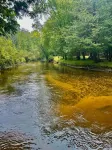 Beautiful Cabin located on the Betsie River and close to Crystal Mountain Resort