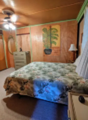 Rain Forest Apartment!