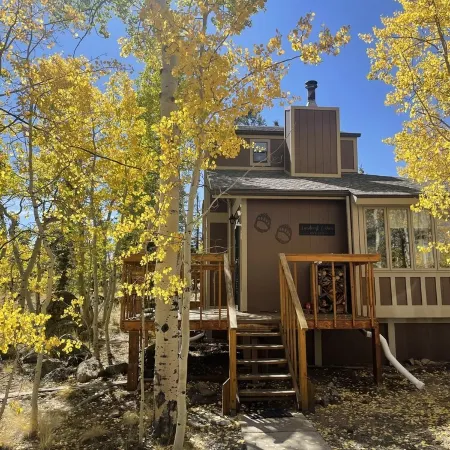 Rustic 2-Bedroom Cabin on 2 Acres