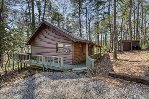 Tall Pines - A cozy cabin in North GA mountains w/hot tub and mountain views!