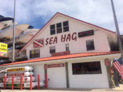 #1 rental in Steinhatchee, affordable, convenient, comforts of home. Hotels in Steinhatchee