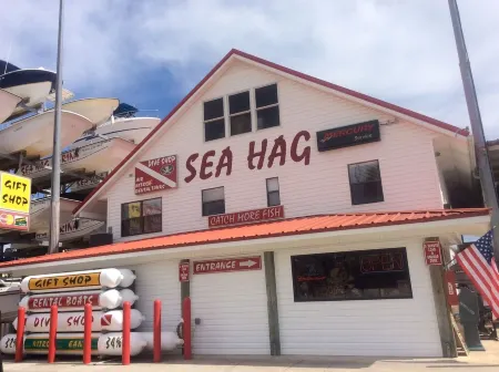 #1 rental in Steinhatchee, affordable, convenient, comforts of home.