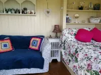 Romantic Apple Tree Shepherd's Hut with optional hot tub and shared EV charger.