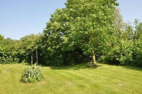 Comfortable holiday home, exclusive location on the windmill, near Warnemunde