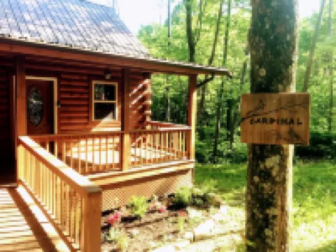 Spacious Log Cabin with Hot Tub, Fire Pit, Large Decks & Wood Fireplace
