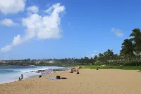 Beaches, Eats, Shops, Trees, Flowers, Frogs, Birds: Go Native! - 3-Sterne