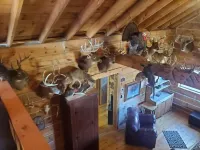 Larsen Hunters Rustic Cabin