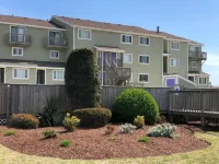 Turtle Tides-Oceanfront Retreat - Sunrise Views & Beach Vibes-Short-Stay Options