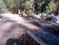 Cozy up in Our Cabin. We Have Starlink and a Wood Stove!