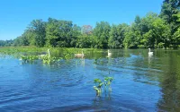 The Bungalow at Eagleville Lake Under 3 miles to UCONN!