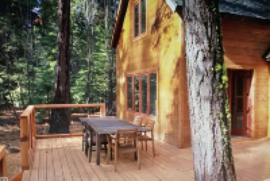 Classic Family Tahoe Cabin - West Shore Bliss!